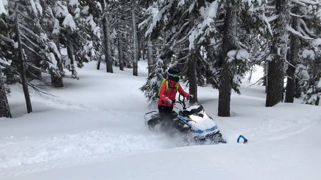 SKI-DOO SUMMIT 850 165 x 3 INCH track смотреть онлайн