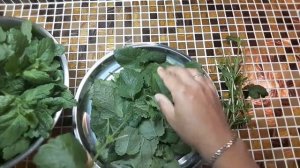 Чай из  мелиссы/Melissa Tea