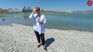 Краснодар. Новороссийск. Что выбрать? Переезд в Краснодарский край.