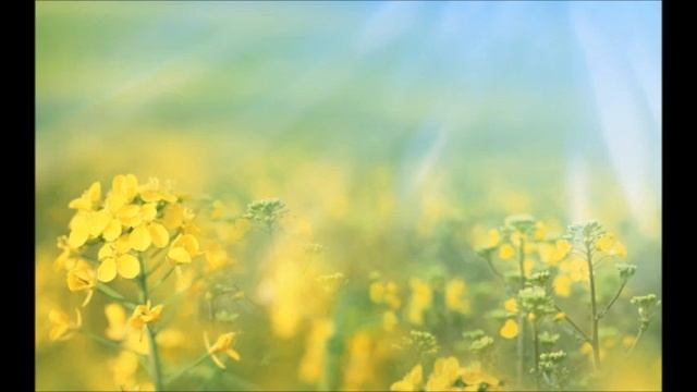 А.В.Клюев - Рекомендации по реализации Пути Сознательной Духовной Эволюции, 5/23 смотреть онлайн