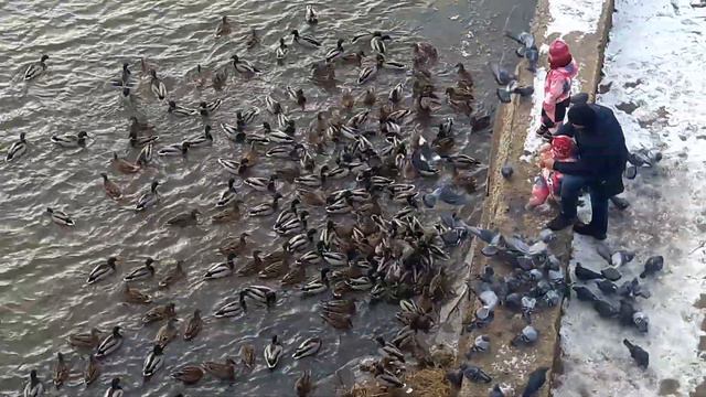 ГОЛОД--НЕ ТЁТКА (БЕРЕГИТЕ ПРИРОДУ--МАТЬ ВАШУ) смотреть онлайн