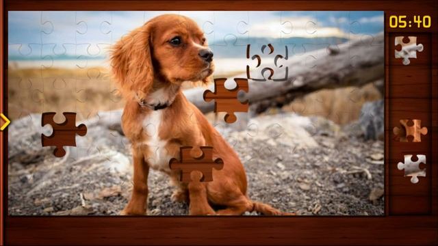 Jigsaw Puzzle Of The Day - Android Games (Puzzle, Brain Games)