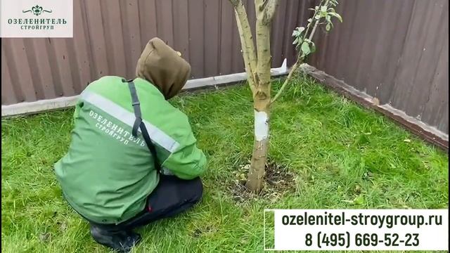 Обрезка и уход за садовыми деревьями, кустарниками весной смотреть онлайн