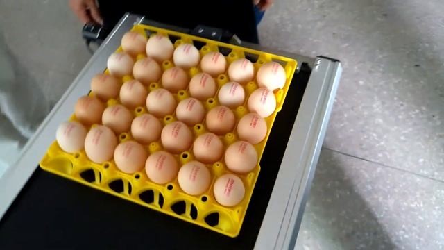 Принтер маркировщик для яиц ZENYER модель 405HS автономный до 30000 яиц/час смотреть онлайн