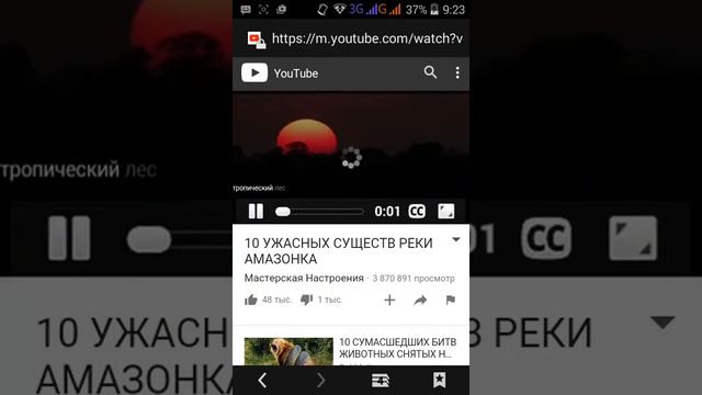 Как скачать видео с ютуба смотреть онлайн