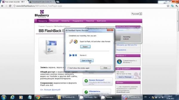 Запись видео с экрана. Учебник BB Flashback Express