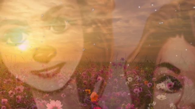 ГЕРМИОНА и ОТНОШЕНИЯ с ГЕРОЯМИ ГАРРИ ПОТТЕРА смотреть онлайн