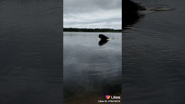 Лодка DULKAN RIB-430 смотреть онлайн