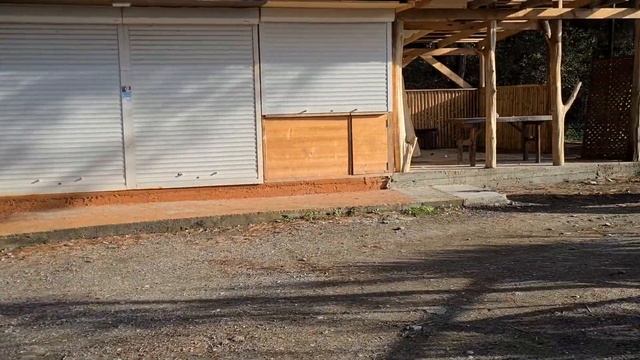 Прогулка по Пицунде 06 ноября 2022 года | Субтропический рай в отдельно взятой стране смотреть онлайн