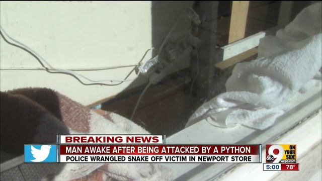 20-foot python attacks Newport reptile shop owner смотреть онлайн