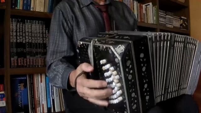 BANDONEON PLAYER, Bandoneon Solo By David Alsina