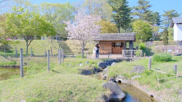 東京の春 | いちごや桜味の春限定のスイーツが食べれるカフェと春の花見スポット巡り