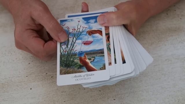 Plant Oracle & Tarot Decks | Wildcrafting & Energy Medicine смотреть онлайн