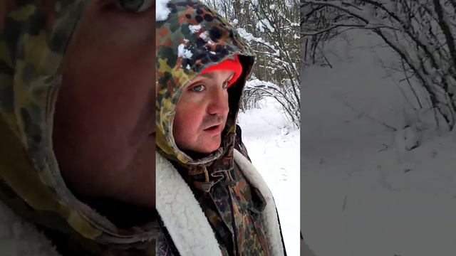 РПГ - Гром(6 месяцев) поднял и отдал голос по зайцу.Мы всё так же в Новгородской области. смотреть онлайн