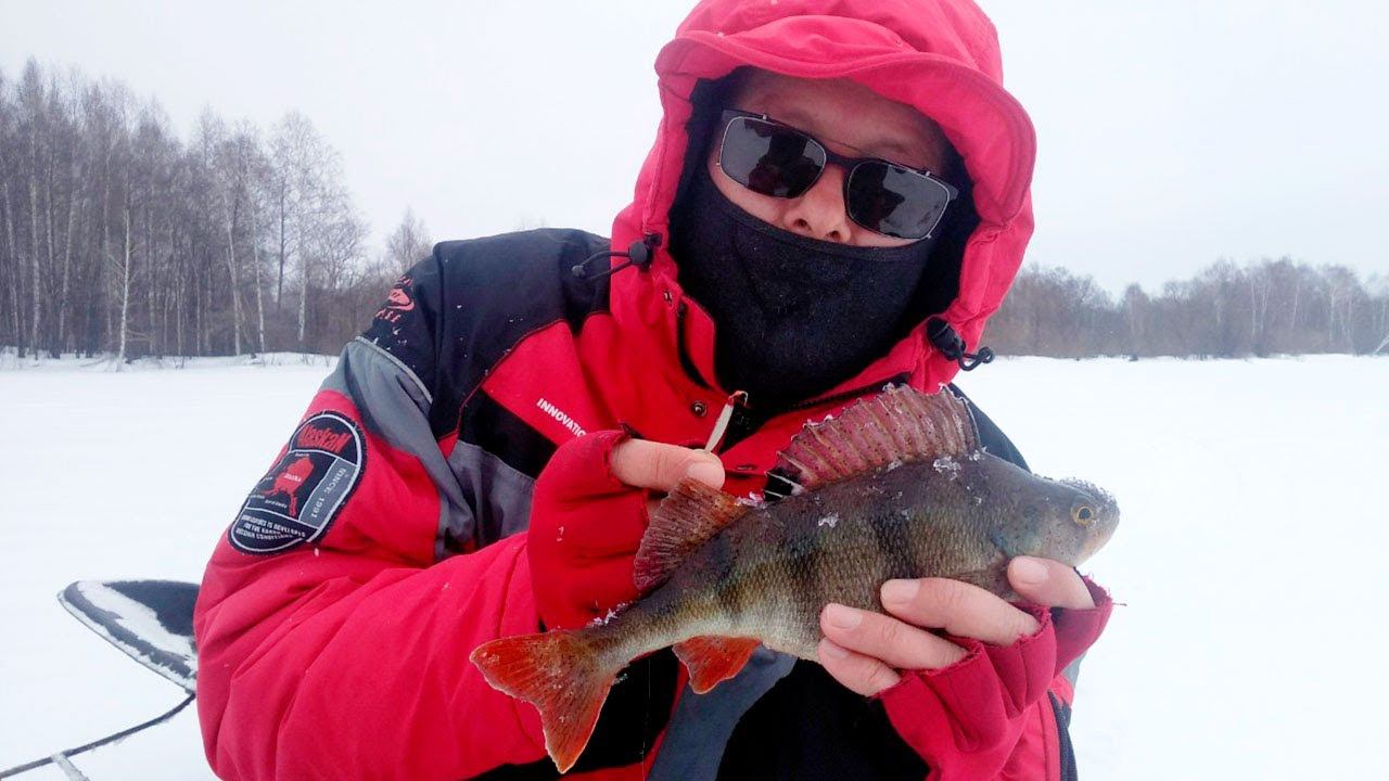 ОКУНИ на блесну. КЛОП-впайка даёт фору балансирам. Двухдневная рыбалка на Волге. смотреть онлайн