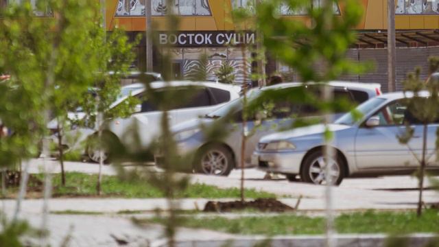Как живут в микрорайоне «Фламинго» смотреть онлайн
