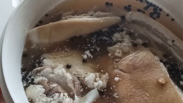 Живопись и Рисование