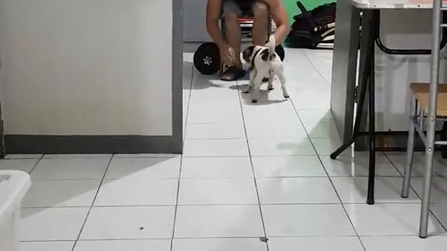 Личный помощник на тренировке смотреть онлайн