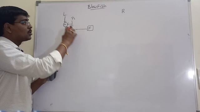 BLOWFISH ALGORITHM || ROUND FUNCTION || KEY EXPANSION || NETWORK SECURITY смотреть онлайн