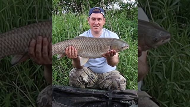 Лучшая рыбалка по ссылке https://youtu.be/tHVmtnaTwY4 #рыбалка #рыбалкаскимряком смотреть онлайн