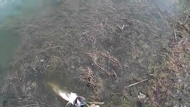 ловля щуки осенью на глубине в маленьком водоёме