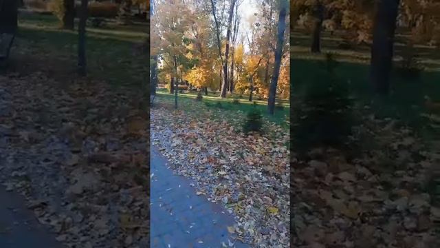 "Зори Алые" исполняют Группа САДко смотреть онлайн