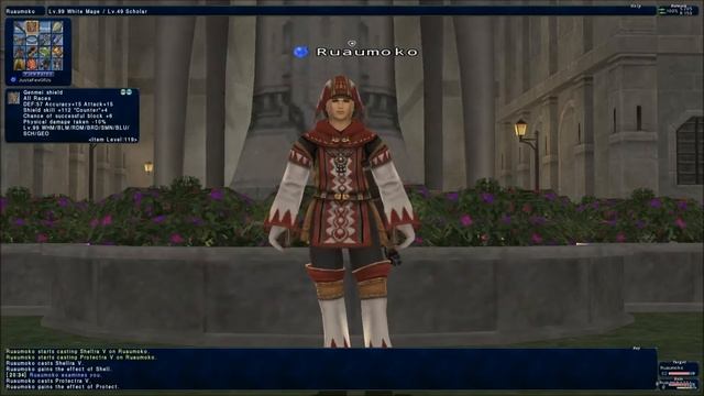 Final Fantasy XI: White Mage Guide смотреть онлайн