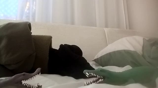 крокодил 🐊 против алегатора смотреть онлайн