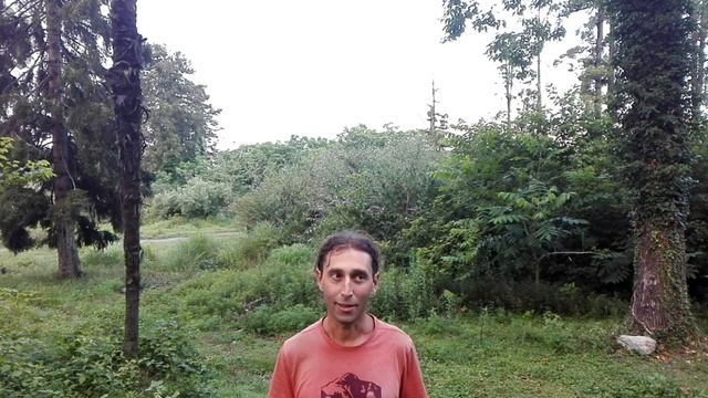Как правильно перейти на живое питание (сыроедение)? 5 принципов. смотреть онлайн