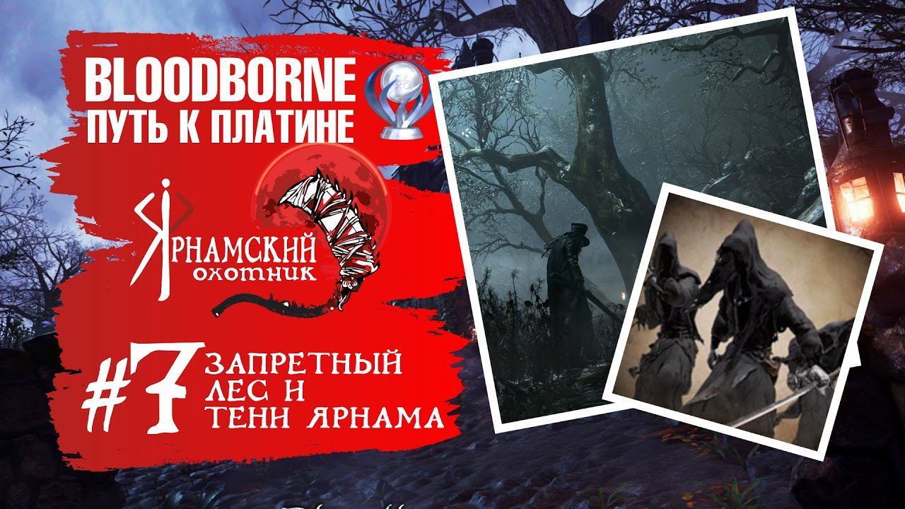Bloodborne Путь к платине Часть # 7 Запретный лес и Тени Ярнама смотреть онлайн