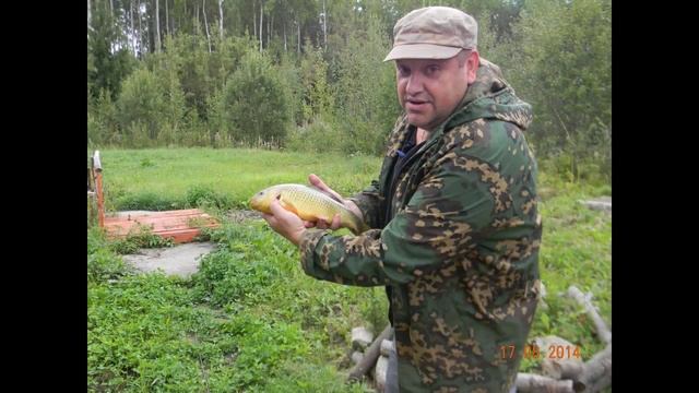 video (19) смотреть онлайн