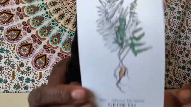 Unboxing the Hedgewitch Botanical Oracle Deck смотреть онлайн