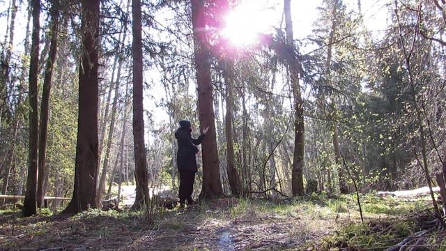 01.05.2020. Мелодия Солнца. смотреть онлайн