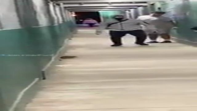 Сплинтер даёт мастер-класс смотреть онлайн