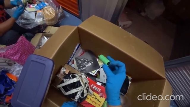 Жука какого нашел смотреть онлайн