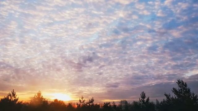 Стихотворение Россиюшка автор Лев Протасов. Читает Аня Кузнецова 5 лет