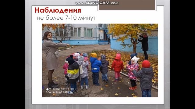 Организация и проведения прогулки для детей раннего возраста смотреть онлайн