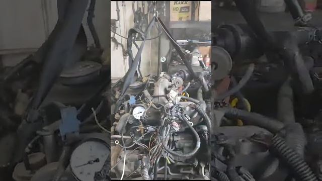 Контрактный Двигатель NISSAN ELGRAND E50 1998 QD32ETI (027087A) BM8827 2WD ТНВД EFI смотреть онлайн