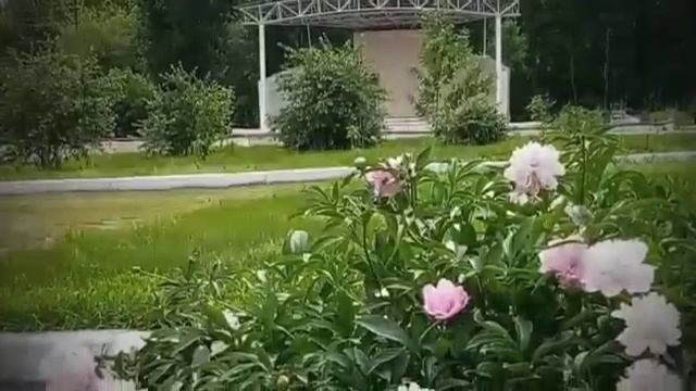 К юбилею города Балашова смотреть онлайн