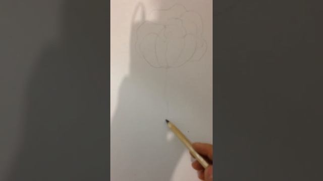 Как рисовать розу смотреть онлайн