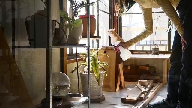 Y2mate.mx-#76 かけがえのない平凡な休日🐈｜おじさんネコの新しい日課 смотреть онлайн