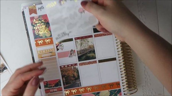 ERIN CONDREN // Plan With Me ft. Wild Summer Designs!