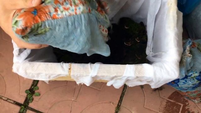 Как сохранить червей в жаркую погоду на долгое время: от недели до нескольких месяцев смотреть онлайн