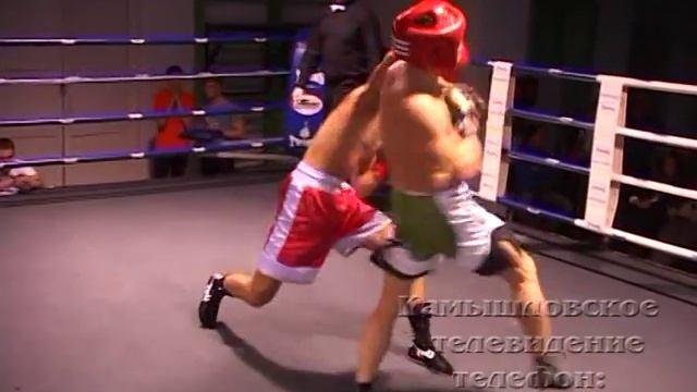 Профессиональный турнир по боксу смотреть онлайн