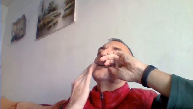 "Katiusha" / "Катюша" (Jew's harp remix) смотреть онлайн