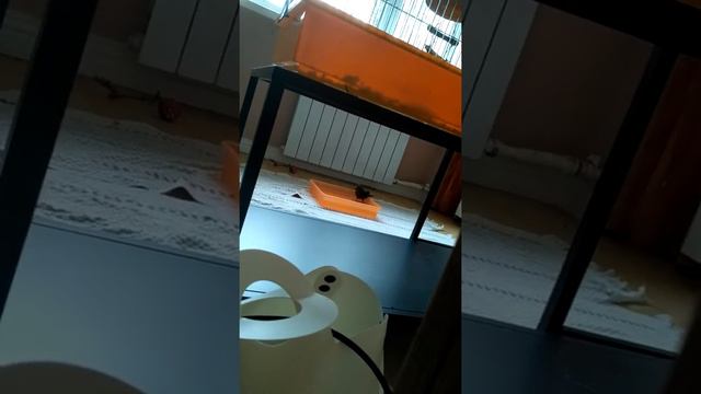 Какарик Гуля принимает водные процедуры смотреть онлайн