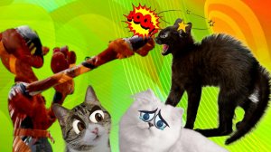 Месть!!! Догдэй пришёл сразиться с нашими кошками!