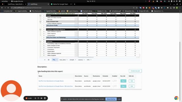 Exploring Cashflowy's Use of Google Sheets API and OAuth 2 0 Scopes смотреть онлайн