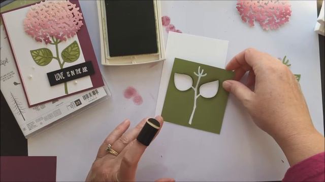 movie monday ombre hydrangea смотреть онлайн