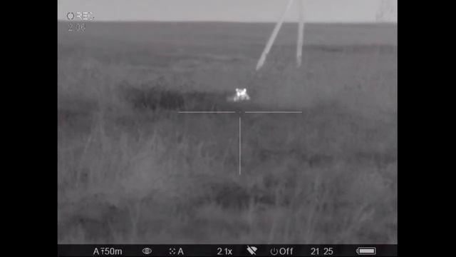 Pulsar Trail XP38. Барсук / Badger смотреть онлайн